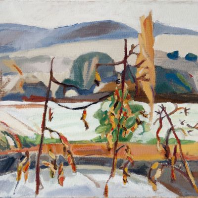 Pfannenstil 2 © Regula Kohler, 76x59