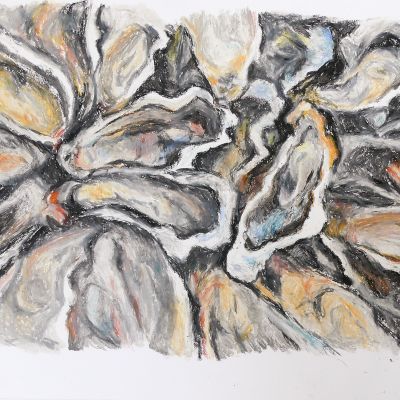 Austern 2 © Regula Kohler, 29x39
