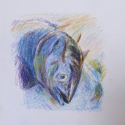 Fisch 2 © Regula Kohler, 42x30